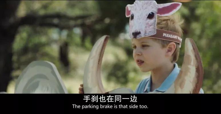 好怪的片，R级画面，S级泪点