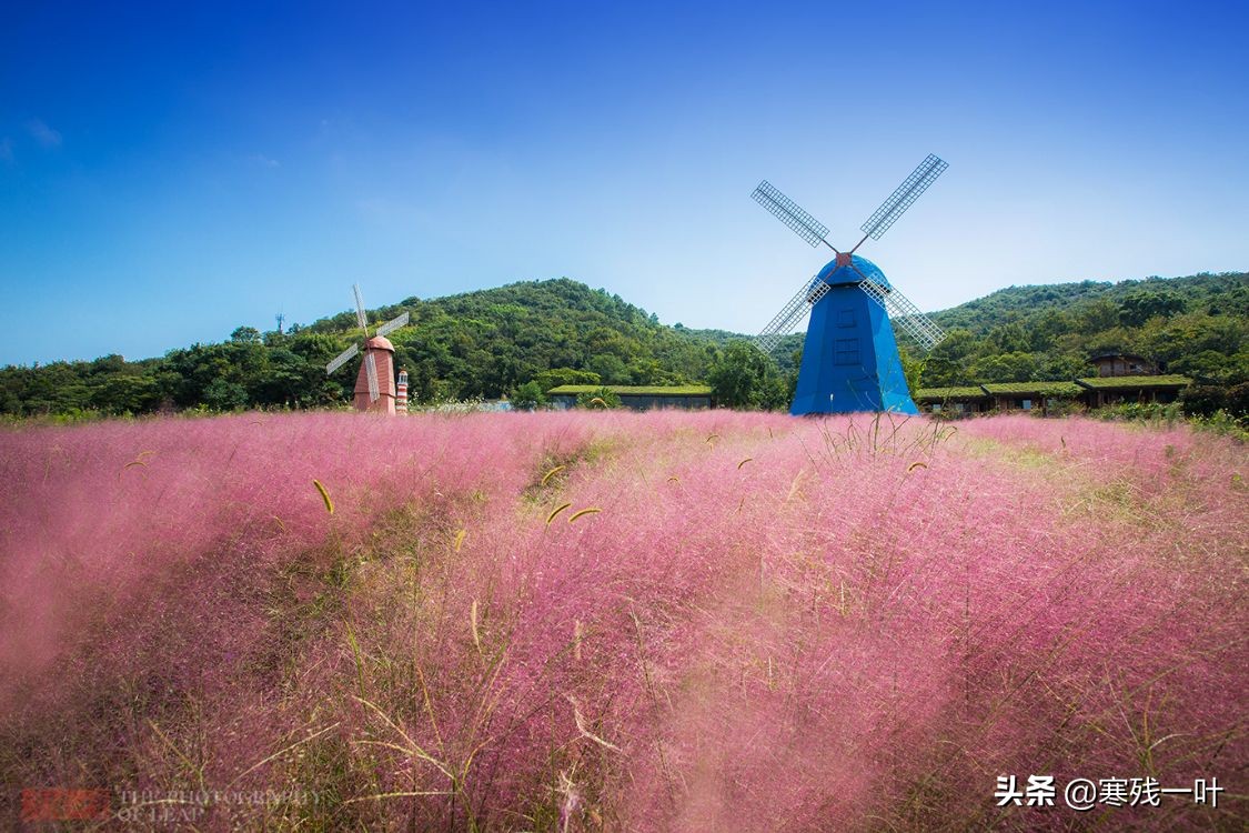 五一营口海边旅游景点推荐,五一假期去哪里玩有山有水