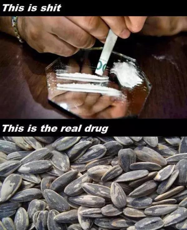 老外开始学中国人嗑瓜子了,老外开始学中国话