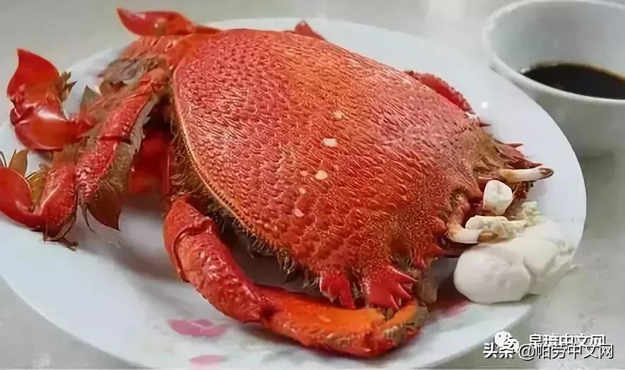 帕劳是哪个国家,帕劳群岛是哪个国家