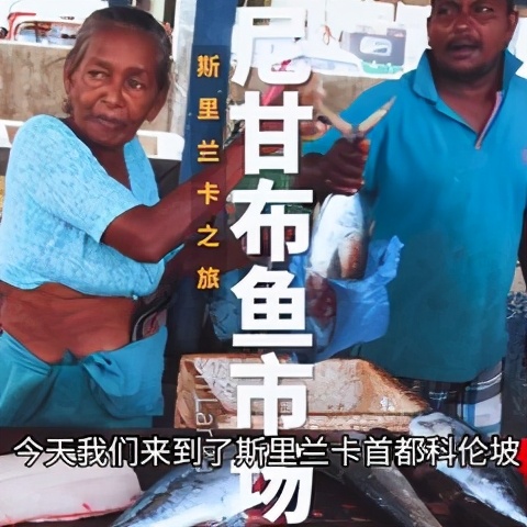 斯里兰卡攻略图片,攻略斯里兰卡旅游最省费用的路线