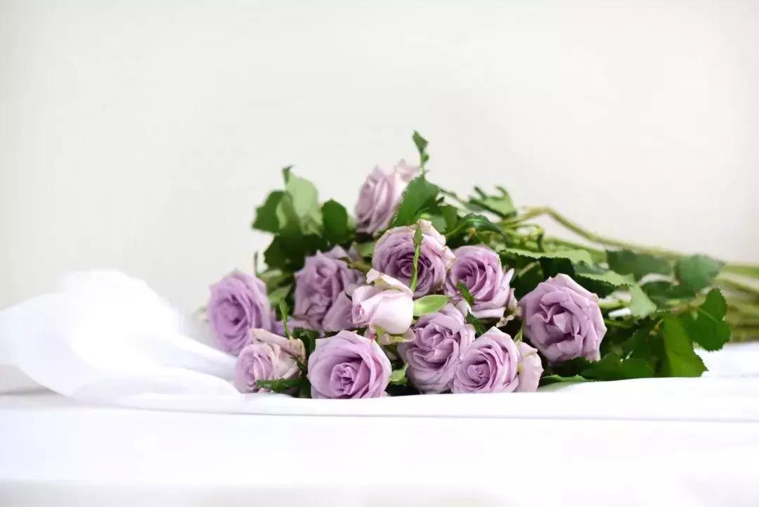 那些年你爱过的小说女配,那些年你爱过的老歌