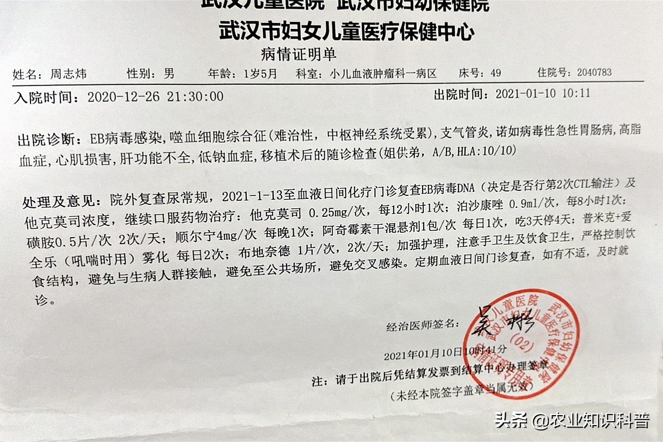 10个多月宝宝得病后续,10岁男孩患重病