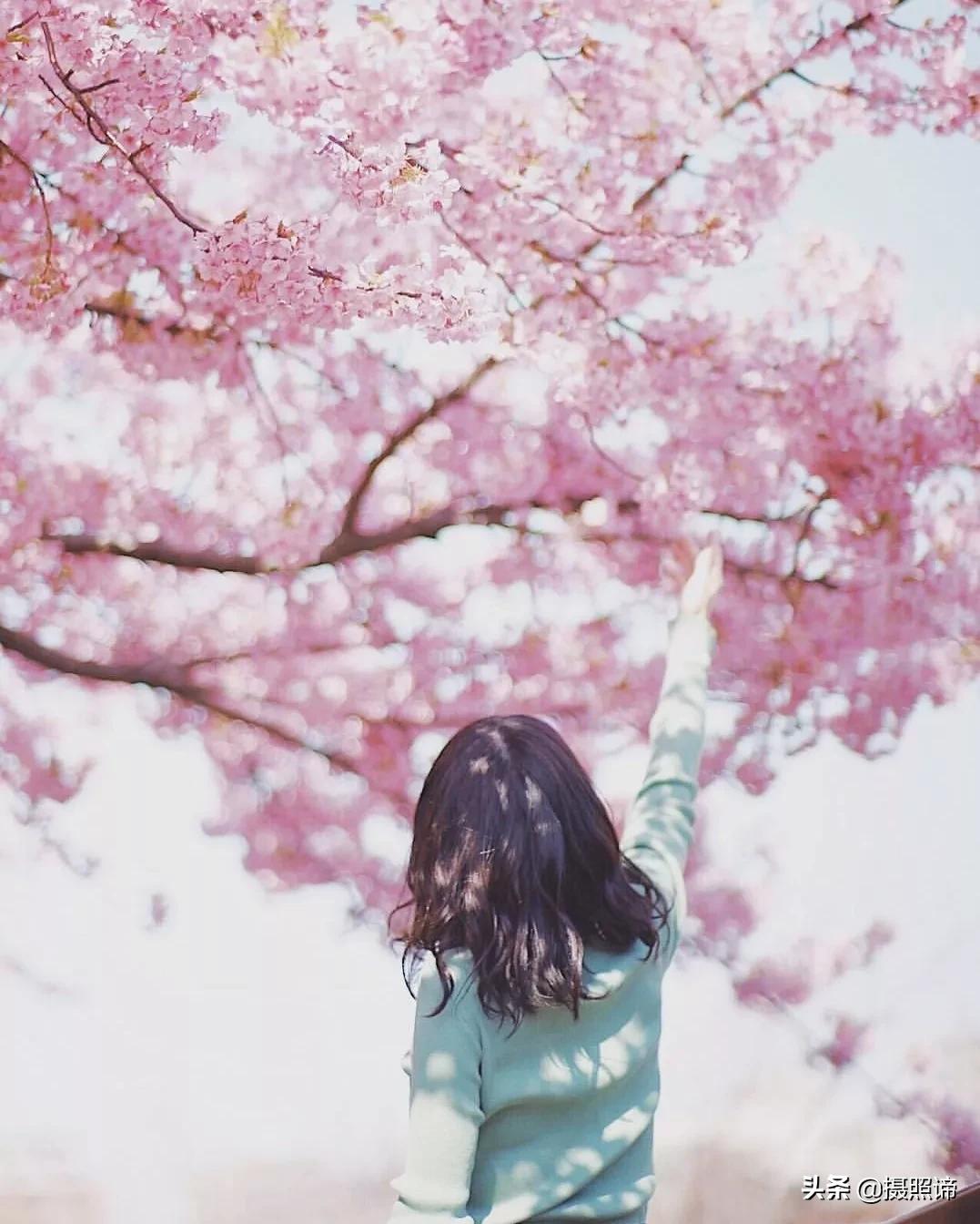 害怕镜头怎么克服,害怕镜头怎么拍视频