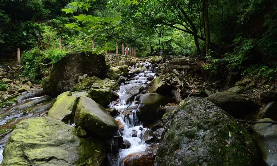 四川旅游五天必去景点,游玩好去处四川