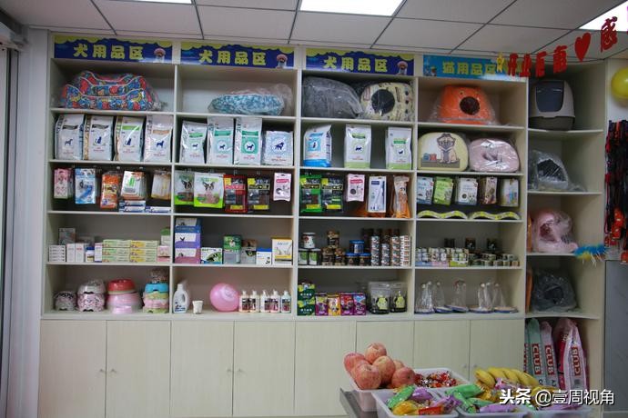 廊坊人自己的平价动物医院—百福动物医院正式开业