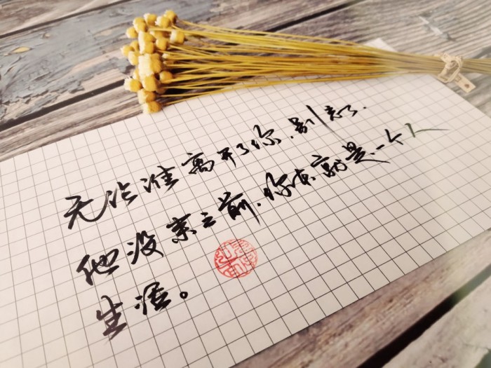 后来的后来,太多的念念不忘,败给了必有回响