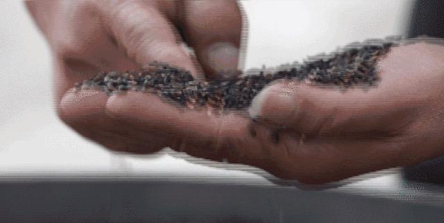 你喝过被火烤过的酒吗？酒中有客家女孩的5年青春斗|新匠人学院