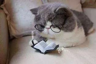 哪些妇科病在保险之内,适合女性妇科疾病的保险