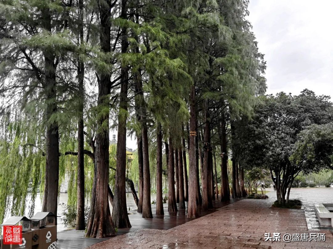 扬州｜垂杨不断接残芜，雁齿红桥俨画图