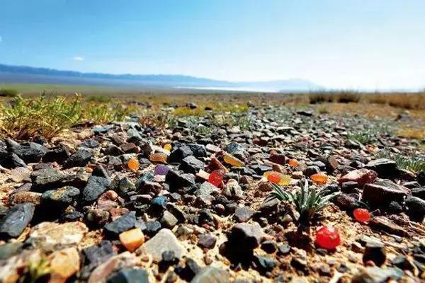 初级藏宝图挖后有什么东西,疆内捡石头攻略