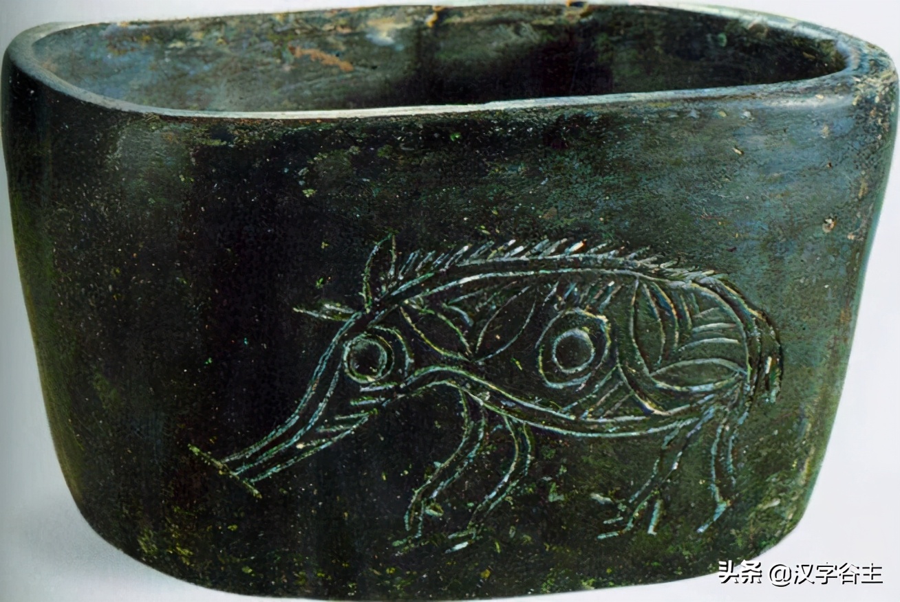 豕字和猪的关系,从猪开始进化