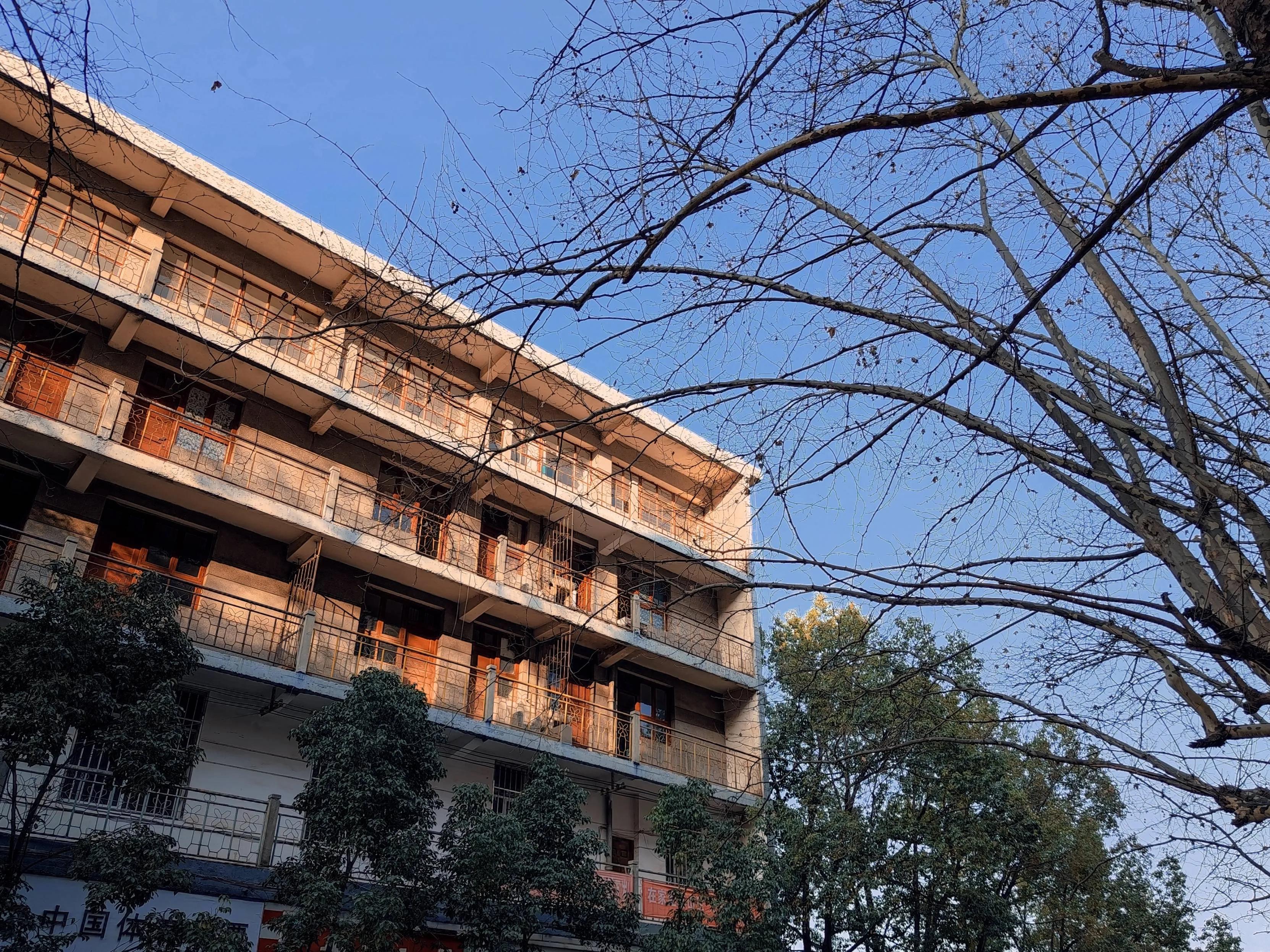 小米10至尊纪念版和荣耀magic3pro,小米10至尊纪念版对比小米11ultra