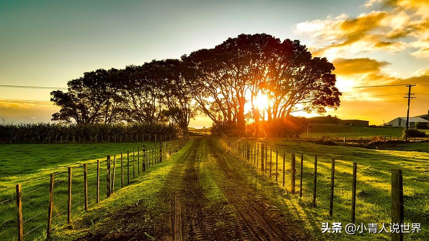 世界第一大牛奶出口国,全球三大牛奶排行榜