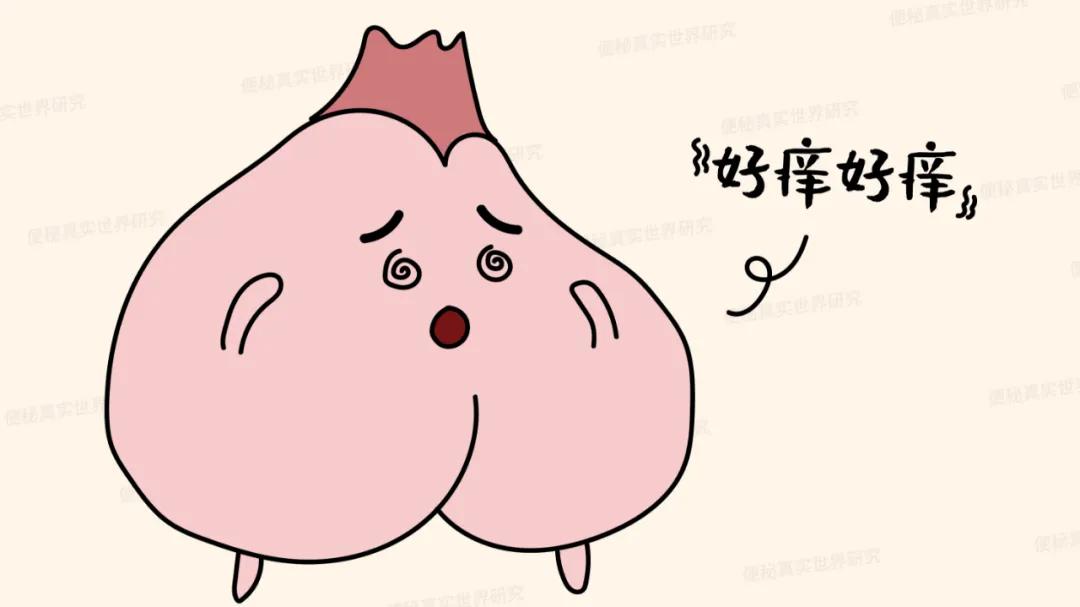 局部周围持续瘙痒,菊部痒是怎么回事