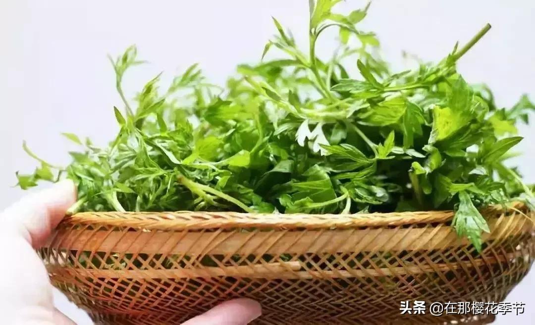 一位客家妈妈用艾草煮水给儿子洗澡,结果万万没想到...
