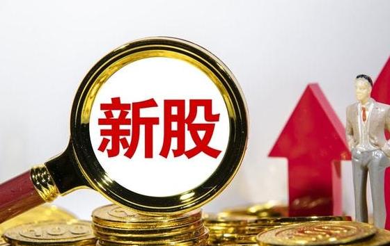 新股中签后怎么看中签了多少股,新股中签怎么看