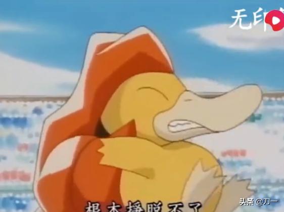 精灵宝可梦可达鸭什么时候出现,精灵宝可梦可达鸭有什么技能