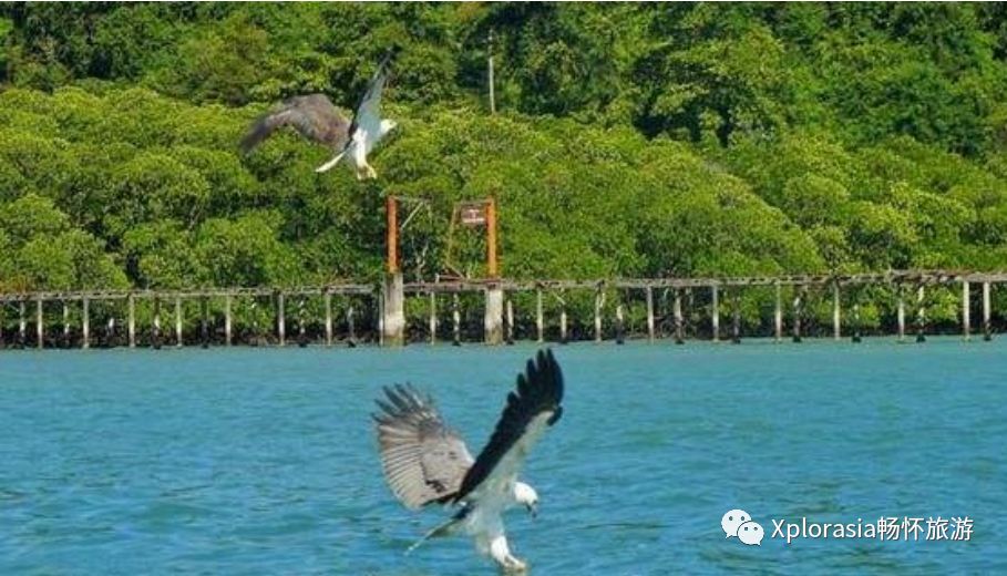 轻奢漫游马来西亚兰卡威槟城之旅,槟城四日游路线