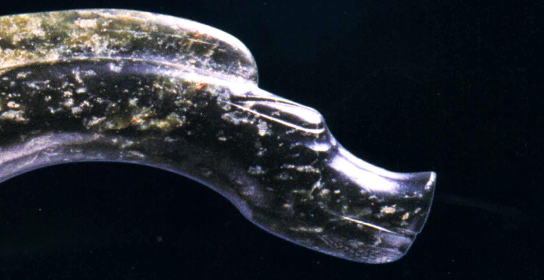 中华第一龙红山玉猪龙,中华第一龙红山玉龙英文介绍