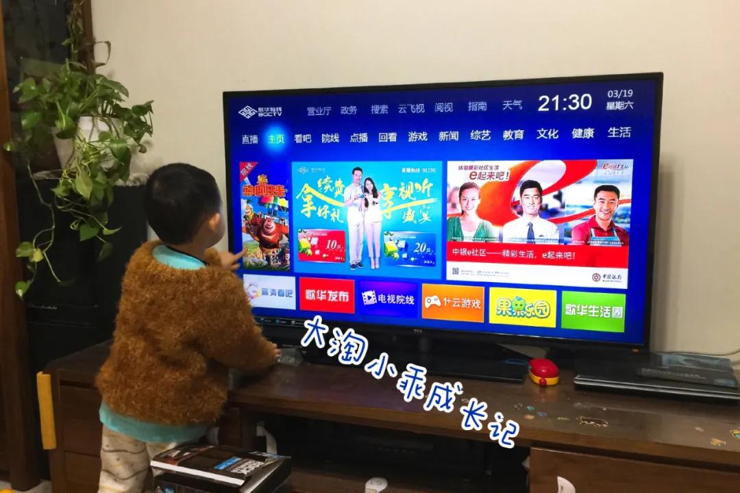 成人零基础看英文动画片怎么学,看英文动画片学习英语的方法