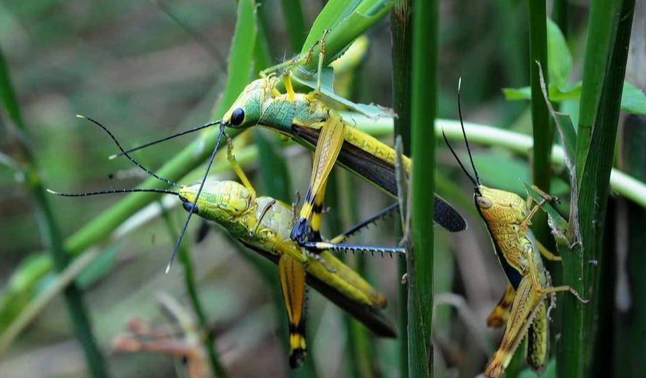 科学家称地球正在死亡，速度远超预期，人类如何改变这种现状？