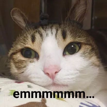 啧啧啧~断绝它的“性”福之路前你有仔细考虑吗？