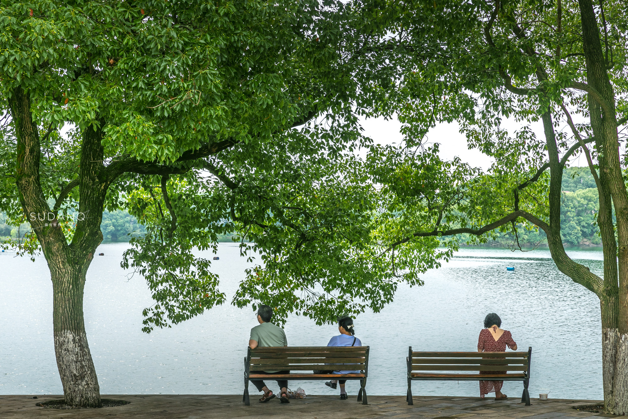 湖北松滋洈水千岛湖景区,湖北松滋市洈水新楼盘