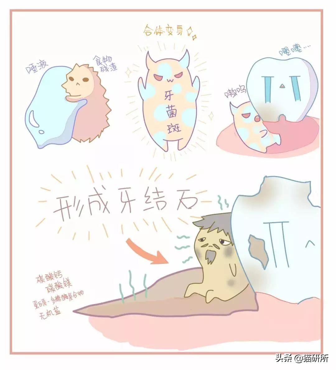 如何给猫咪选牙膏,如何给猫咪选择洁齿产品