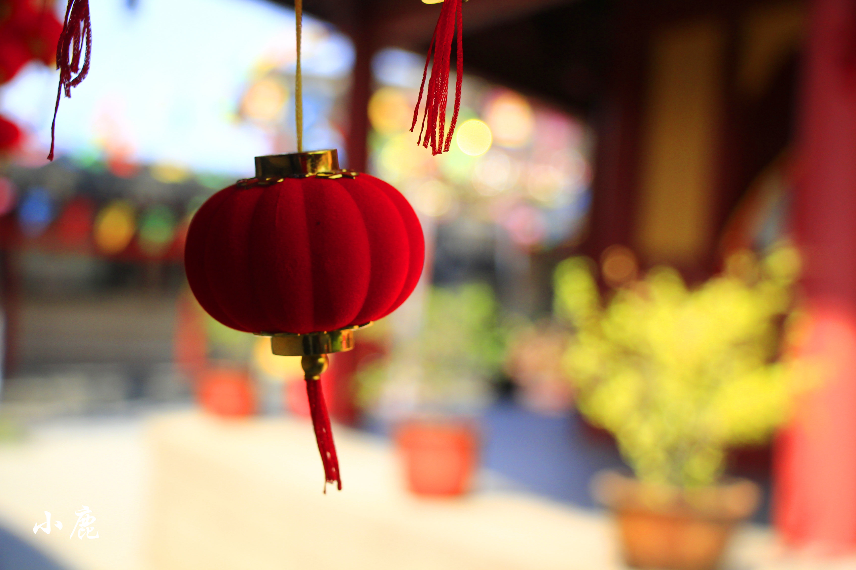 南京最值得一去的寺庙,南京一座免费开放的寺庙