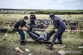 马航mh17坠机事件是怎么回事,马航mh17坠毁现场有遗体吗