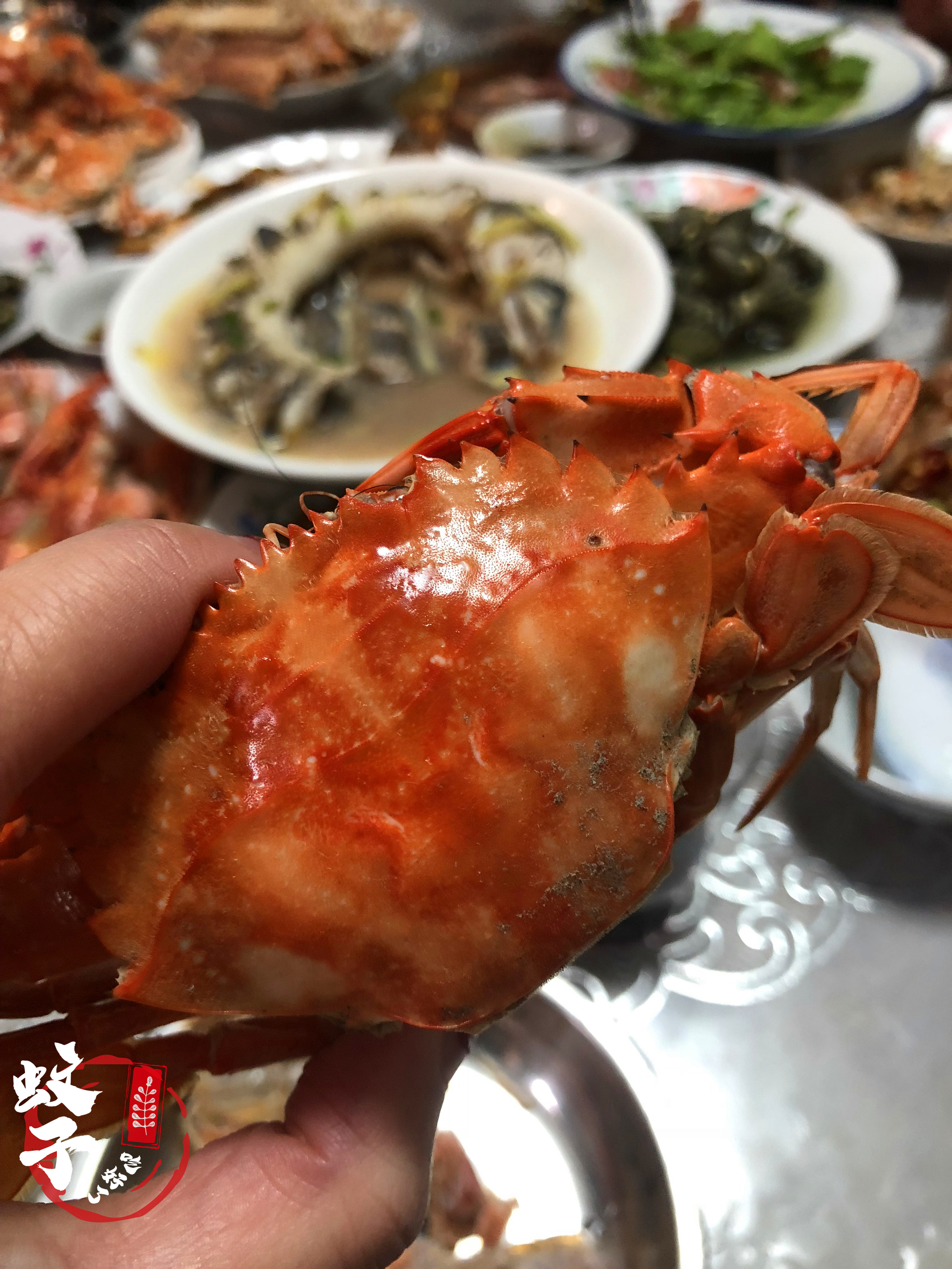 因为各种贝类美食，甘愿远嫁离陆地7小时船程的小岛