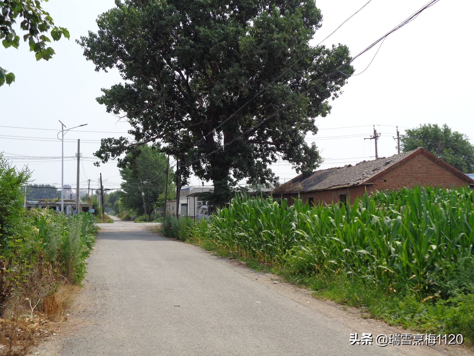 沈阳市新民市兴隆堡镇,辽宁省沈阳市新民兴隆堡镇