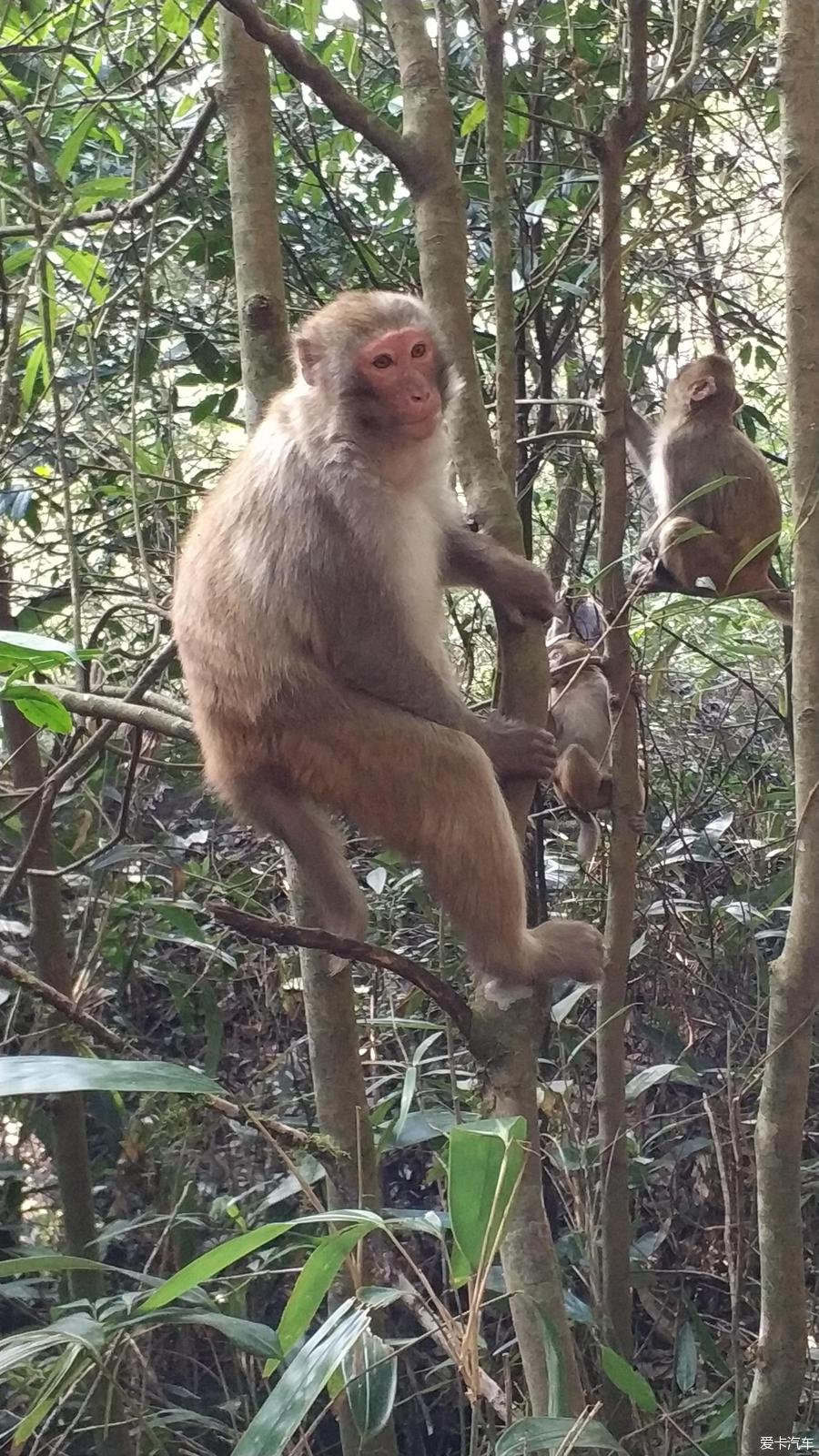 龙岩市旅游景区布局图,龙岩市旅游景区管理系统