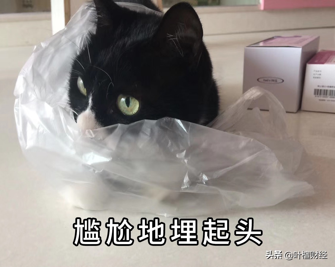 这座奇葩城市房价大涨的勇气哪来的？