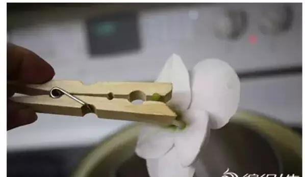 如何把新鲜的花弄成永生花,怎么才能将鲜花变干花