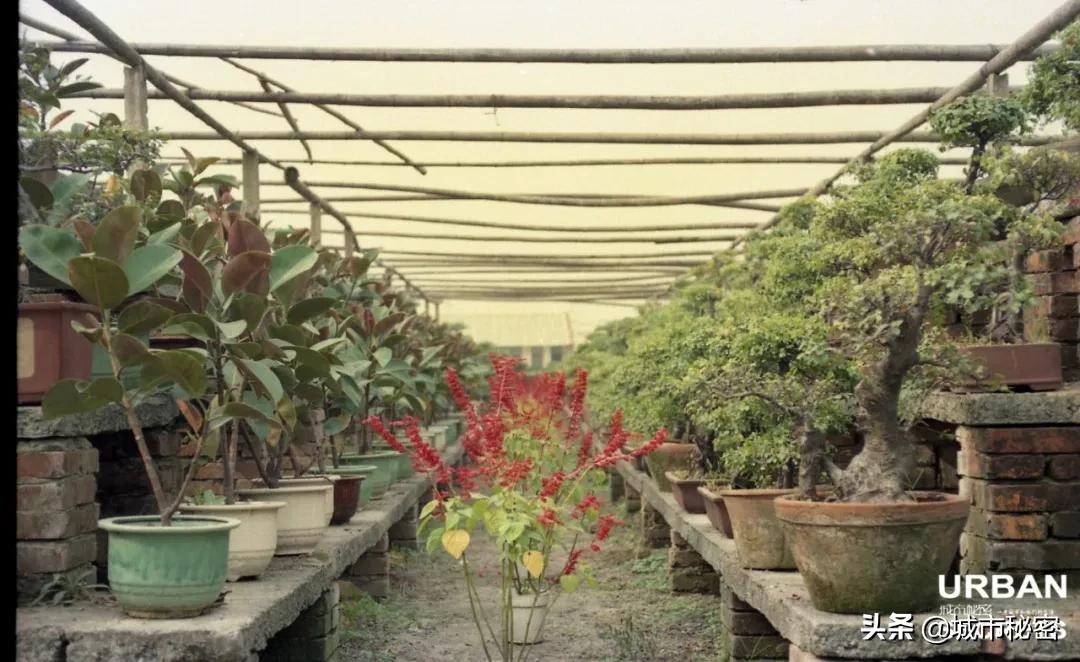 杭州旅游烟火气,杭州哪里还有江南风情