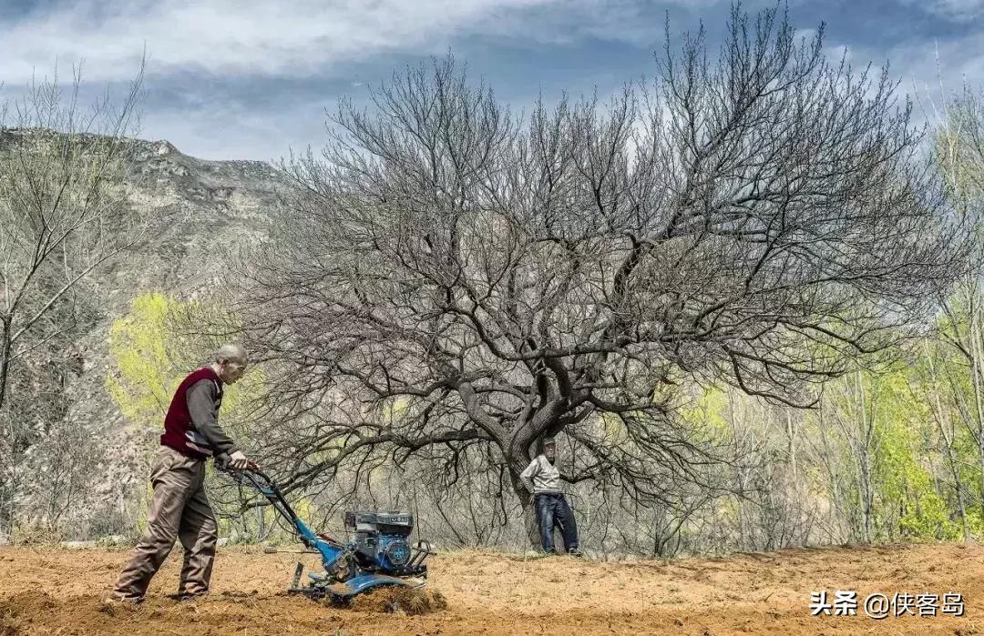 侠客岛:乡愁里的中国