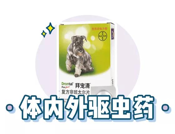 萌新应该养什么便宜宠物狗,萌新怎么入门宠物技能