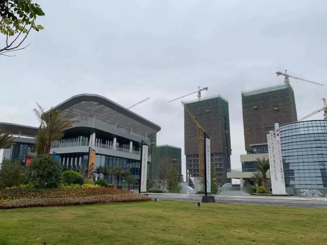 山姆疯抢,山姆杭州疯抢