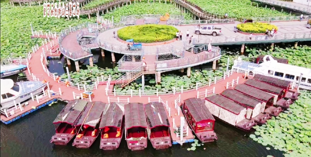 微山湖荷花池美景,微山湖红荷湿地公园旅游攻略最新