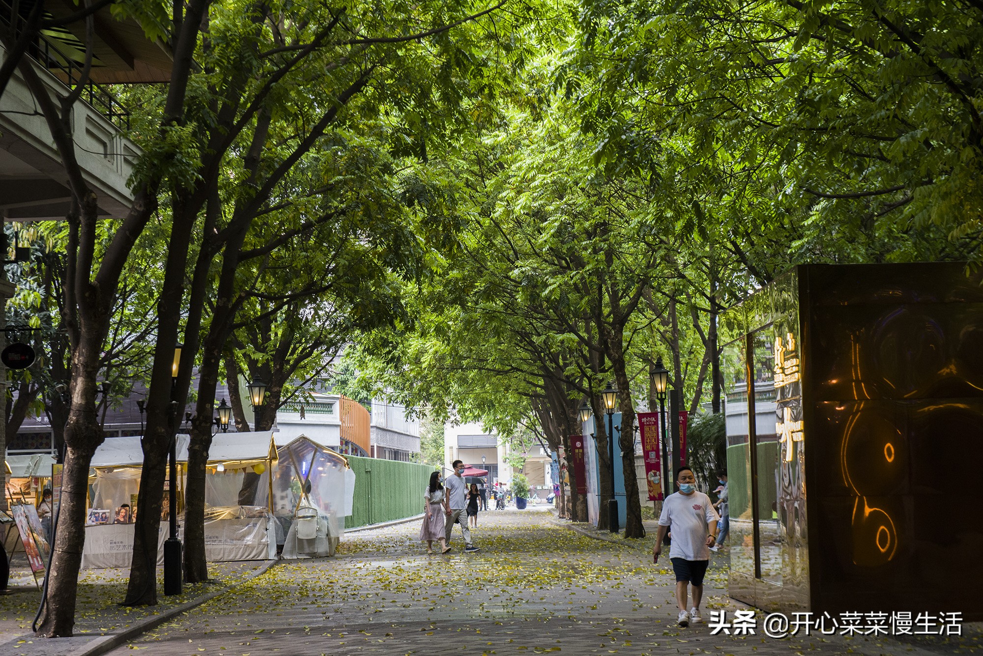 广东商人与香港地产大亨同名，清末民初，他干了一件大好事