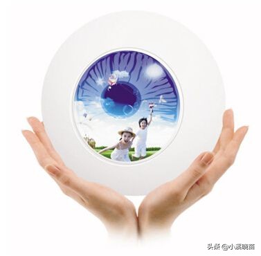 猫得了白内障怎么办,鸟得了白内障怎么办