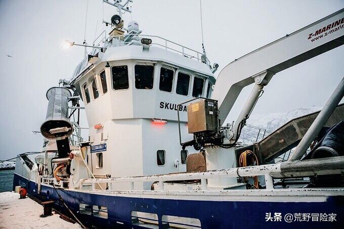 挪威北极鳕鱼属于大西洋鳕鱼吗,探秘挪威鳕鱼