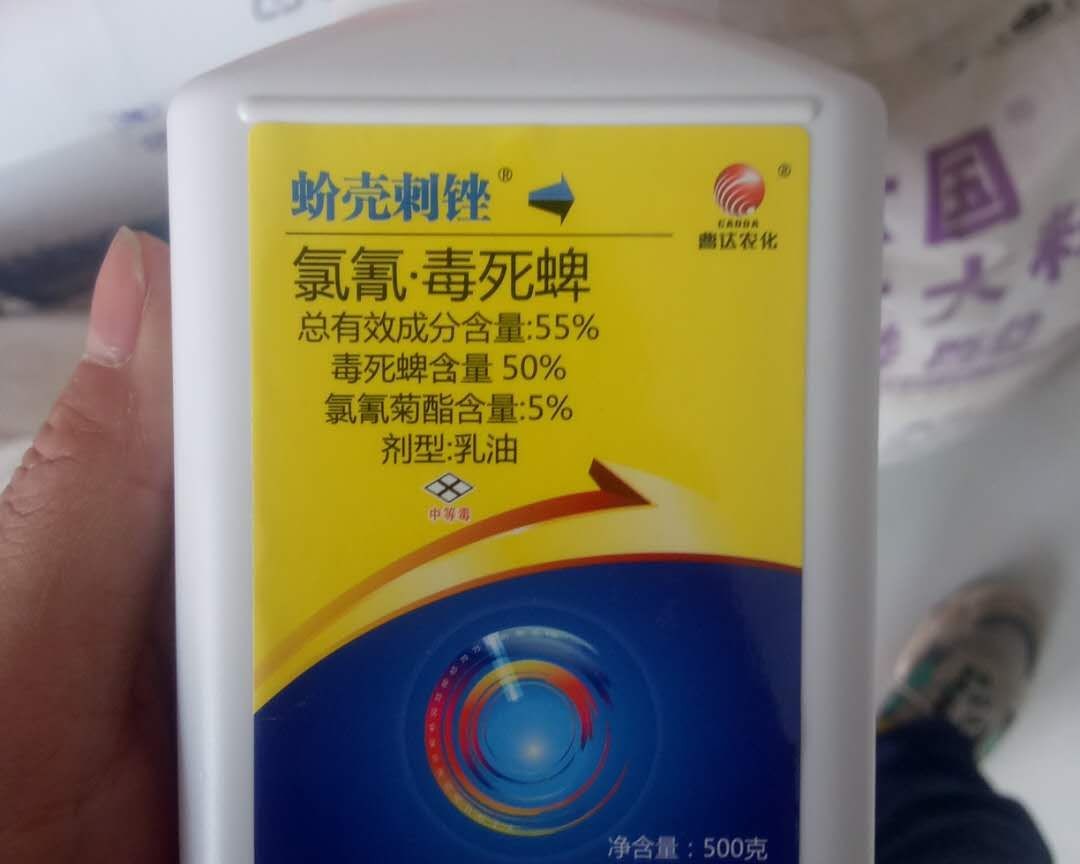 天堂鸟的蚧壳虫对人有危害吗,蚧壳虫怎么危害树木的