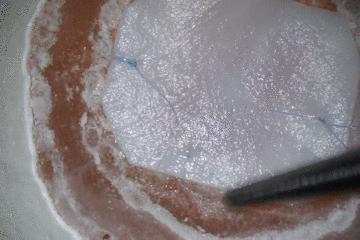 鸡蛋皮缝合手术,缝合鸡蛋膜视频教程