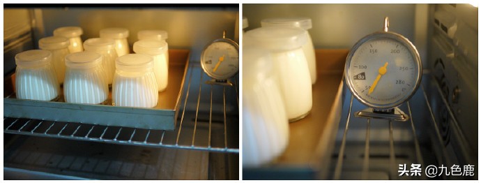 怎么自制酸奶更好喝,用酸奶做引子自制酸奶的家常做法