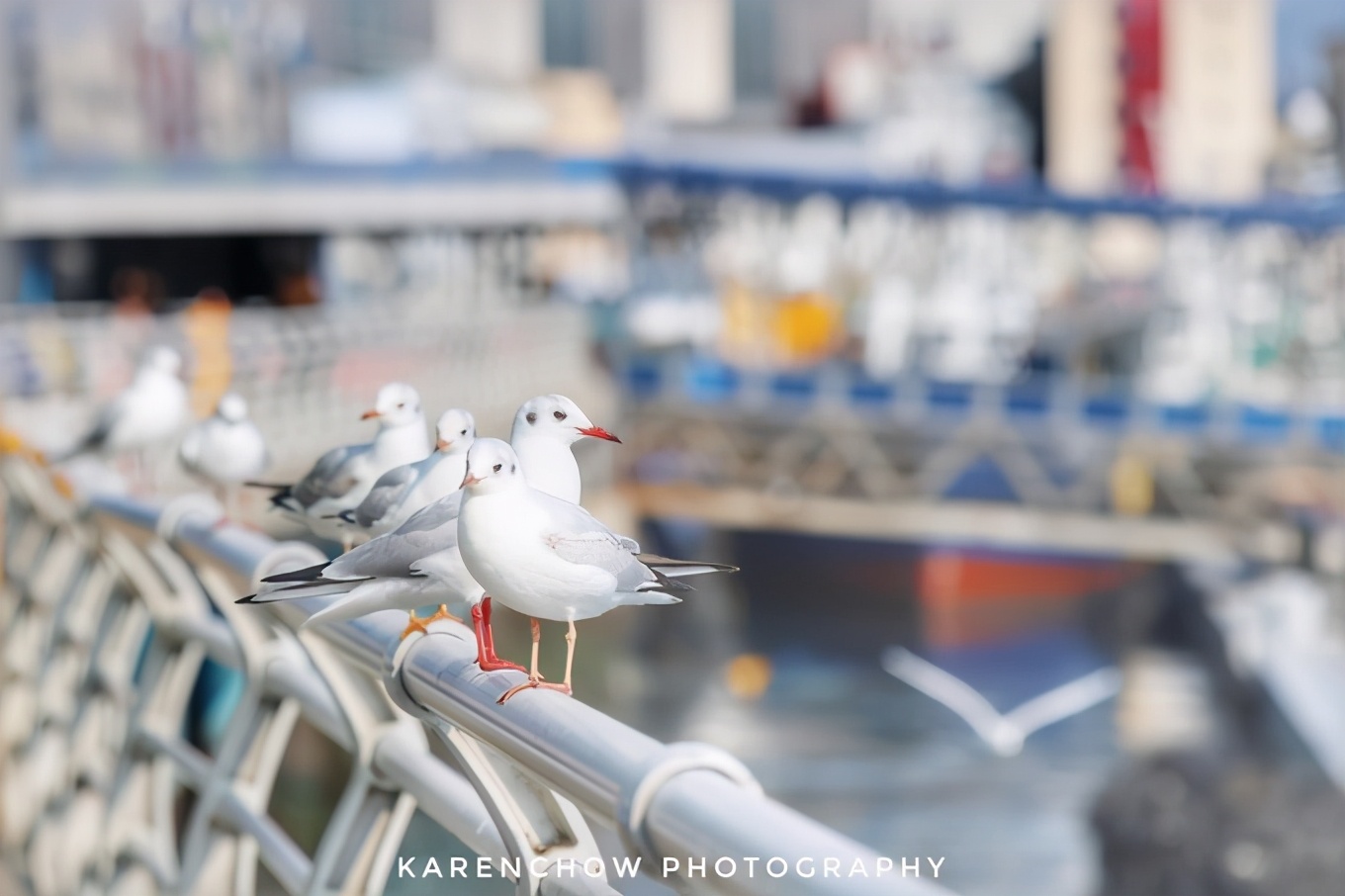 閲滃北濂界帺涓庡ソ鍚冪殑鍦版柟,閲滃北鏃呮父缇庨