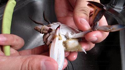 冷冻梭子蟹如何做盐蟹,怎么腌梭子蟹才好吃