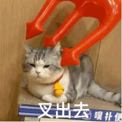 宝，我今天去油了，去的什么油？爱老虎油